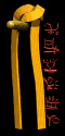 Orange Belt